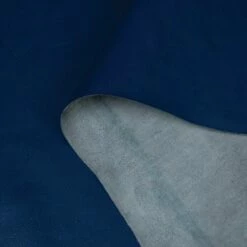 Fire Veg Tan Sides, 3-4 Oz. -Leather Goods Sales Shop 13115 33 75 02 ccopy 2b616523 4193 4741 ac23 c13c120f87c2