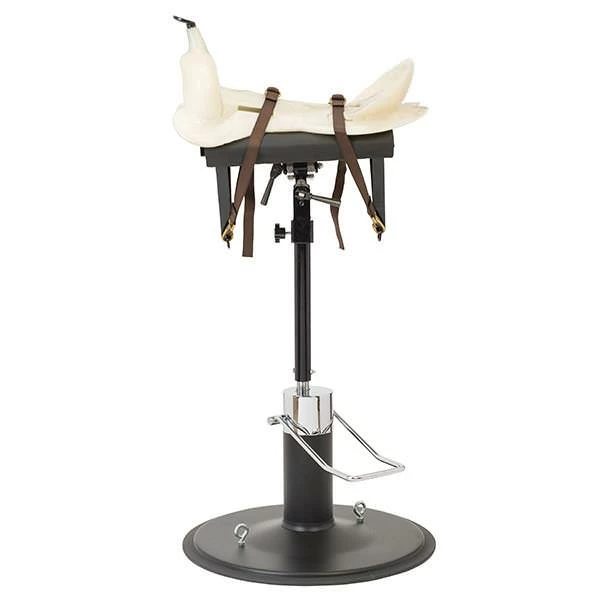 Saddle Master 360 1 Saddle Master 360