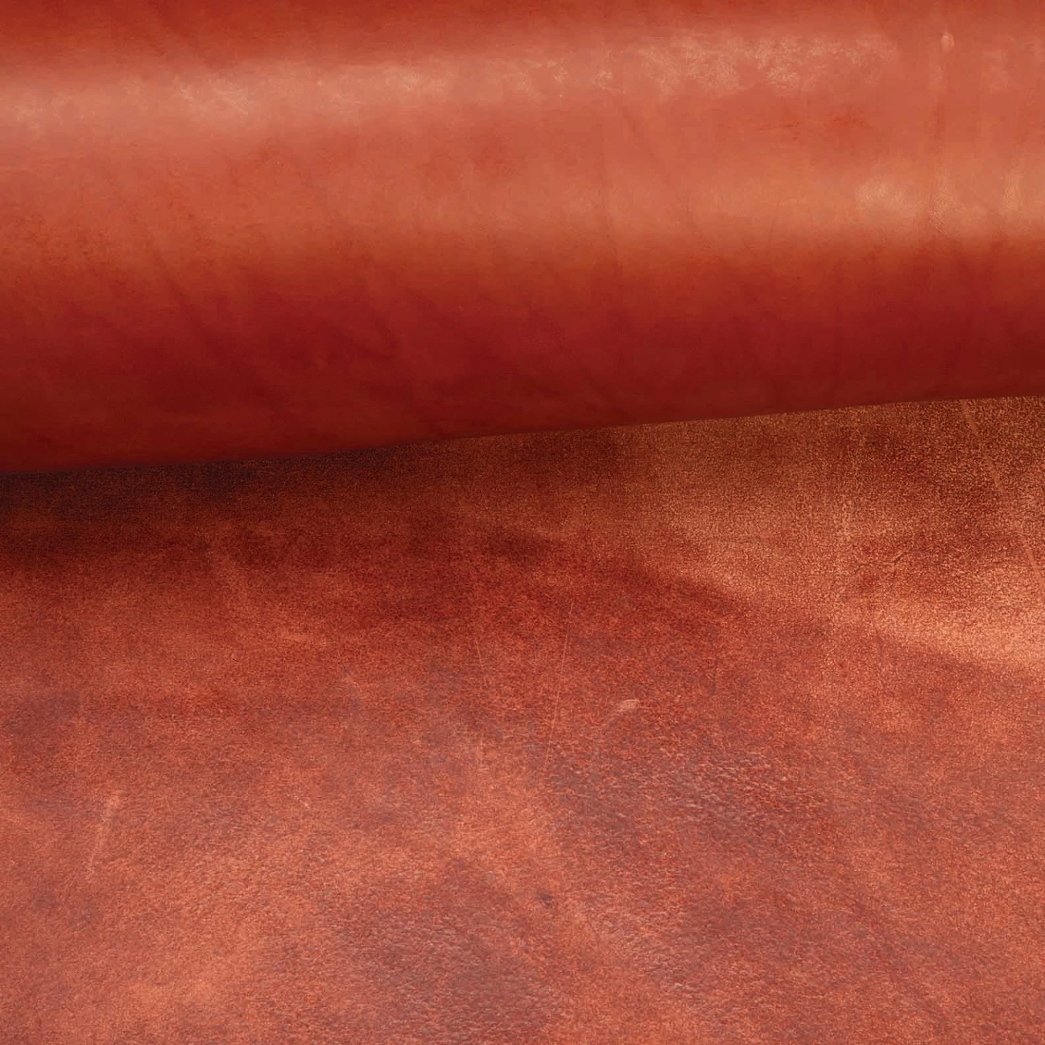 CHAHINLEATHER® English Bridle Leather, Double Shoulders 8 CHAHINLEATHER® English Bridle Leather, Double Shoulders - Image 8