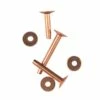 Bulk #9 Solid Copper Rivets With Burrs, 25 Lb. Box
