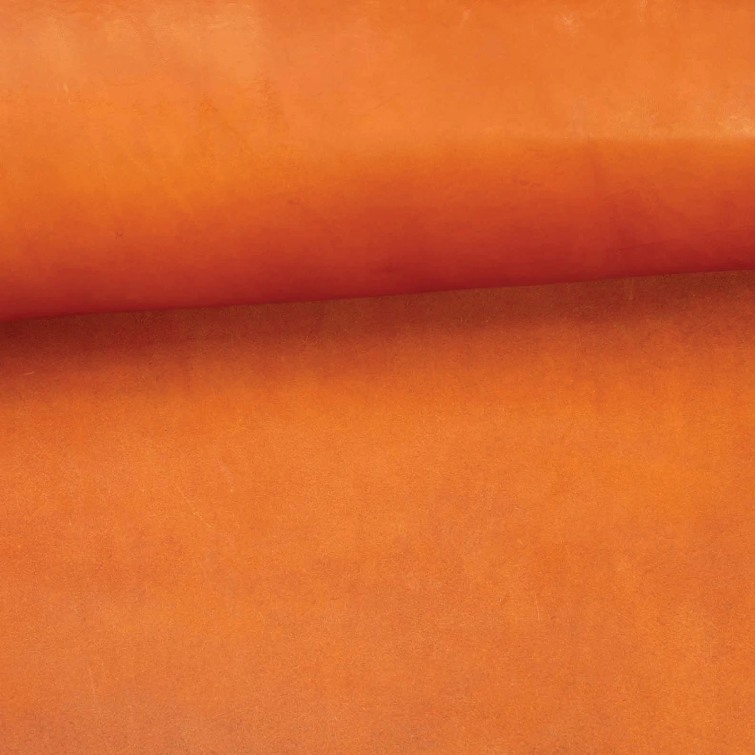 CHAHINLEATHER® English Bridle Leather, Double Shoulders 12 CHAHINLEATHER® English Bridle Leather, Double Shoulders - Image 12