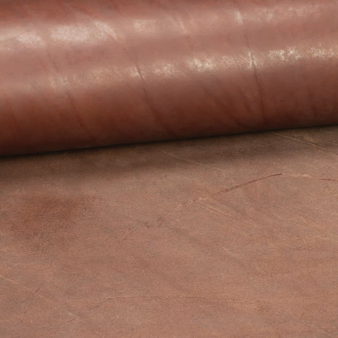 CHAHINLEATHER® English Bridle Leather, Double Shoulders 14 CHAHINLEATHER® English Bridle Leather, Double Shoulders - Image 14