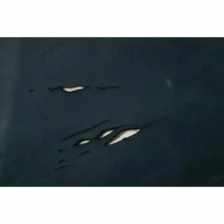 Whole Hide, Assorted Colors, 2/3 Oz. -Leather Goods Sales Shop Lot 22070164 b