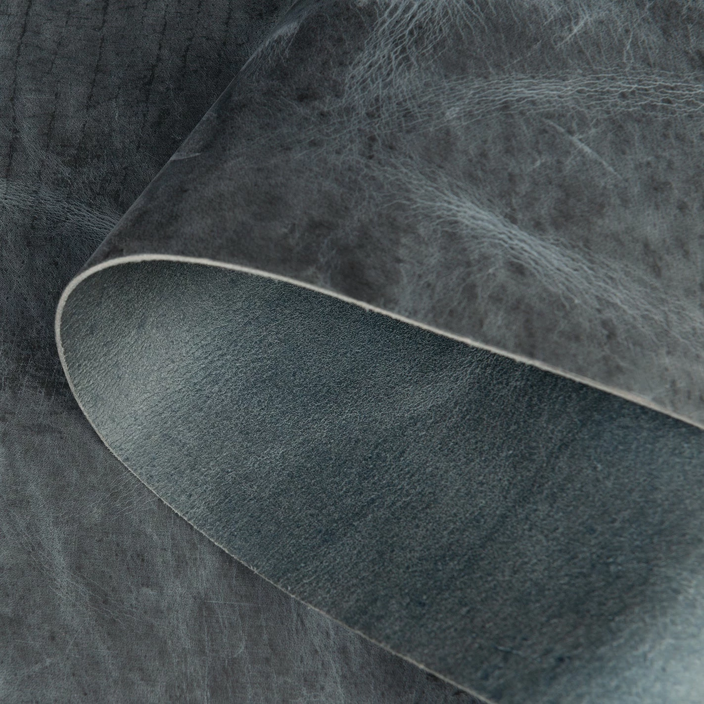 Water Buffalo Leather 16 Water Buffalo Leather - Image 16