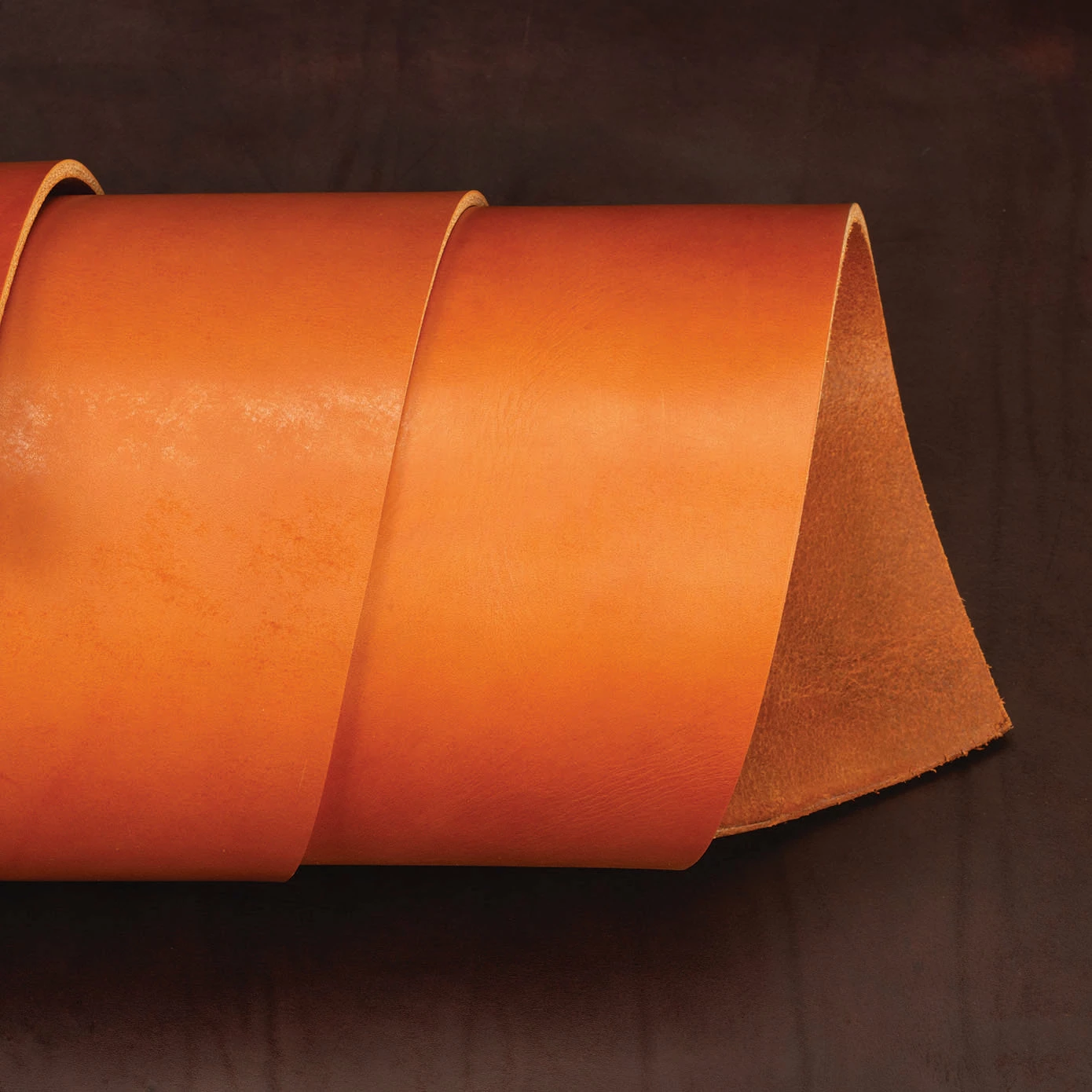 CHAHINLEATHER® English Bridle Leather, Double Shoulders 4 CHAHINLEATHER® English Bridle Leather, Double Shoulders - Image 4