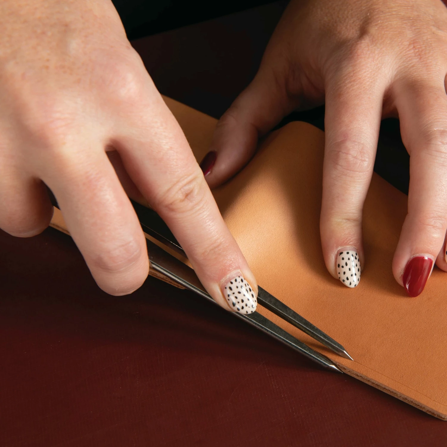 Wing Divider, 8" 6 Wing Divider, 8" - Image 6